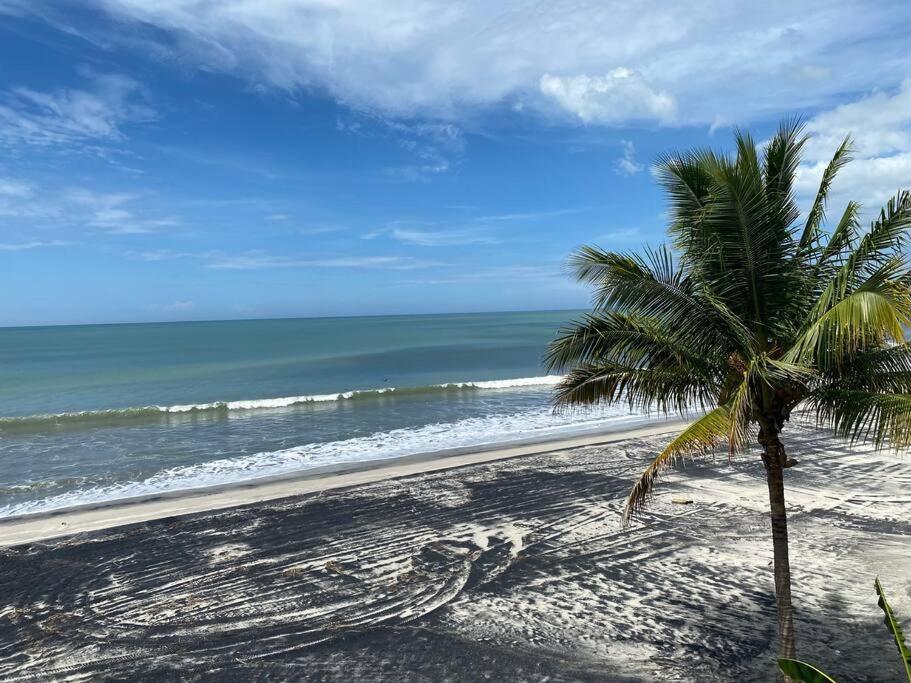 Coronado Beachfront Tropical Home! Playa Coronado Buitenkant foto