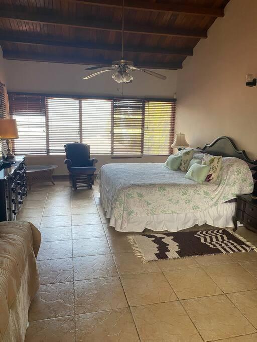 Coronado Beachfront Tropical Home! Playa Coronado Buitenkant foto